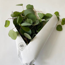 Load image into Gallery viewer, Silver Dollar Eucalyptus