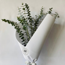Load image into Gallery viewer, Baby Blue Eucalyptus
