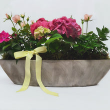 Load image into Gallery viewer, Seasonal Planter