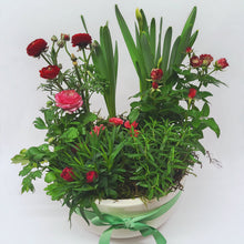 Load image into Gallery viewer, Seasonal Planter