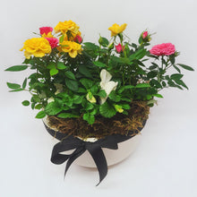 Load image into Gallery viewer, Seasonal Planter